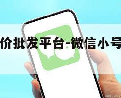 微信小号低价批发平台-微信小号批发自助购买平台