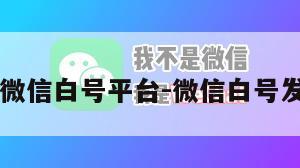自助发卡微信白号平台-微信白号发卡盟平台