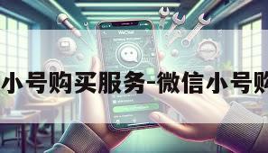 国内VX小号购买服务-微信小号购买网址
